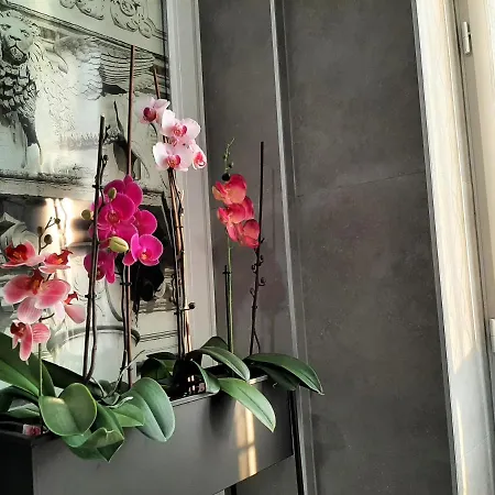 Welcome בית הארחה 4*